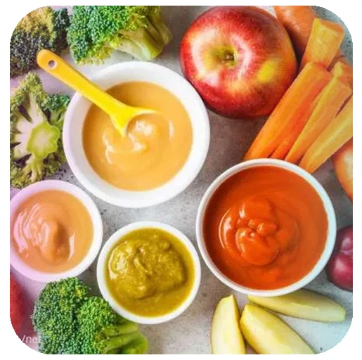 Menu Mpasi 6-13 bulan