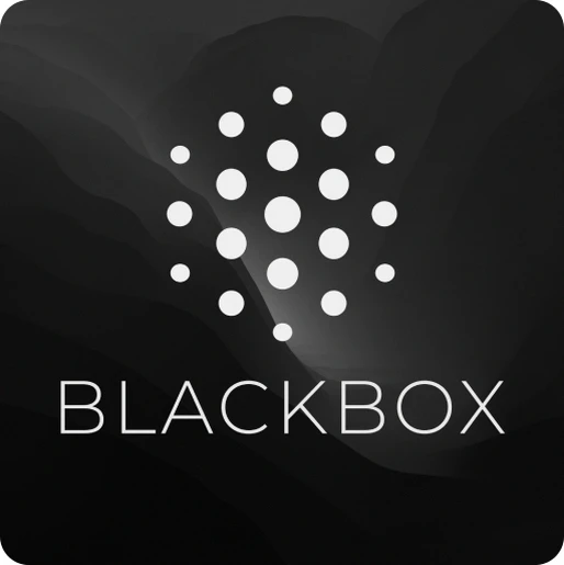 BLACKBOX.AI