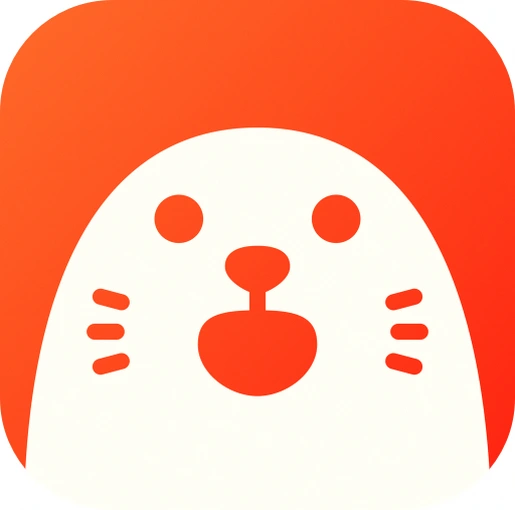 HOLLA - Chat Video Live