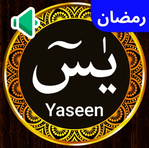 Surah Yaseen Audio Mp3 Offline