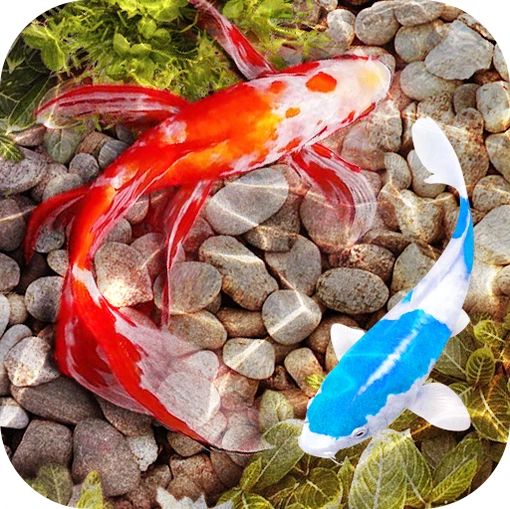 3D Fish Tank Live Wallpaper