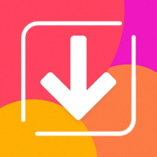 Video Downloader: Story Saver