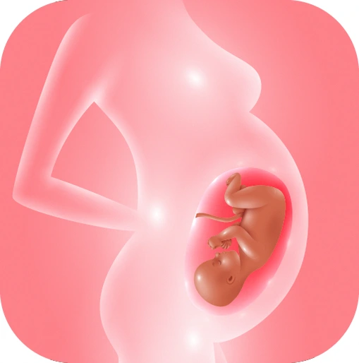 Lacak kehamilan & bayi
